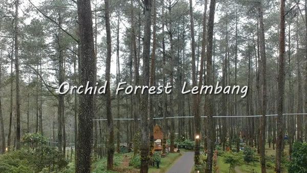 Orchid Forest Itinerary Tour Wisata Bandung